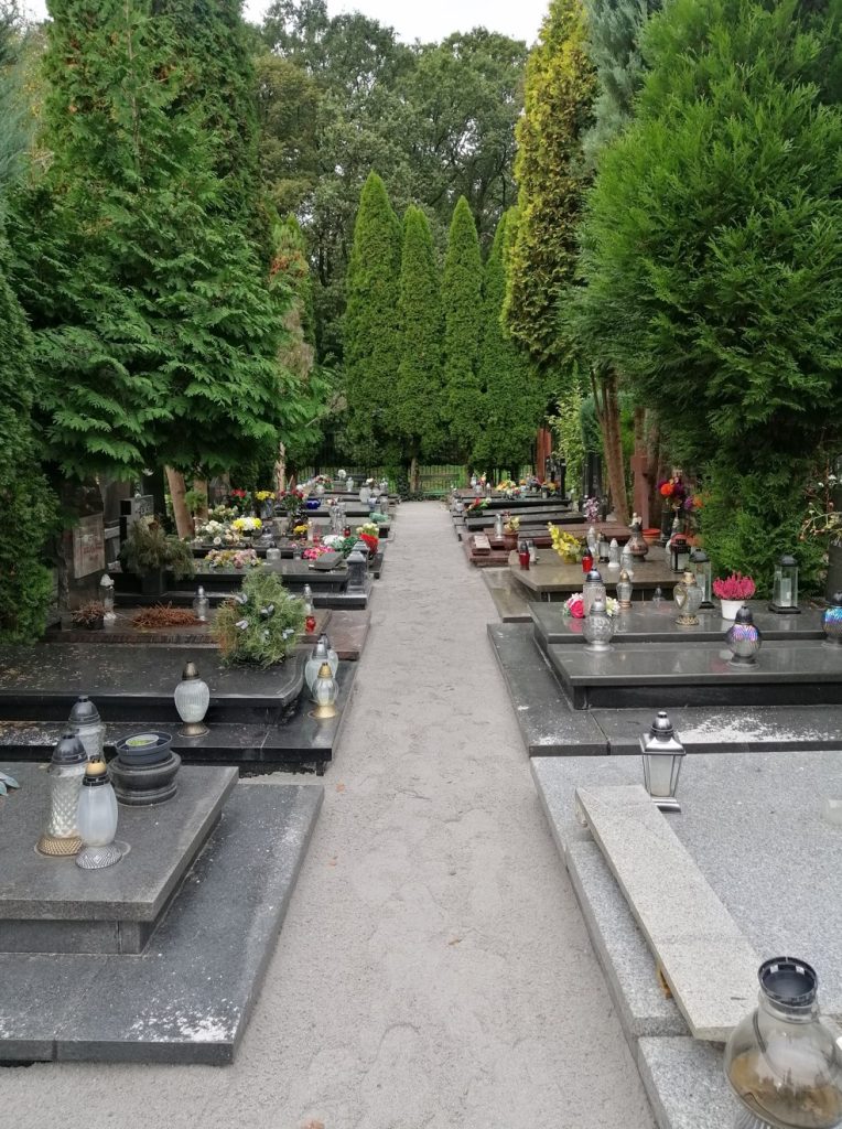 Cmentarz Grabiszyński - Rewitalizacja pola 55 - aleja po rewitalizacji